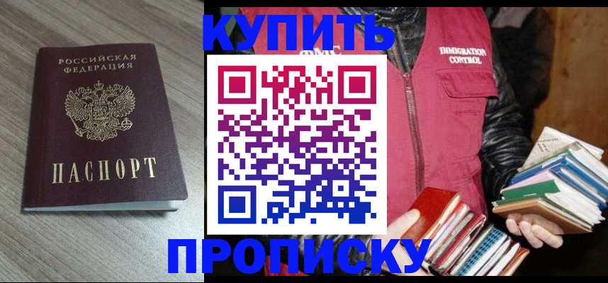 прописка 2025 в Королёве